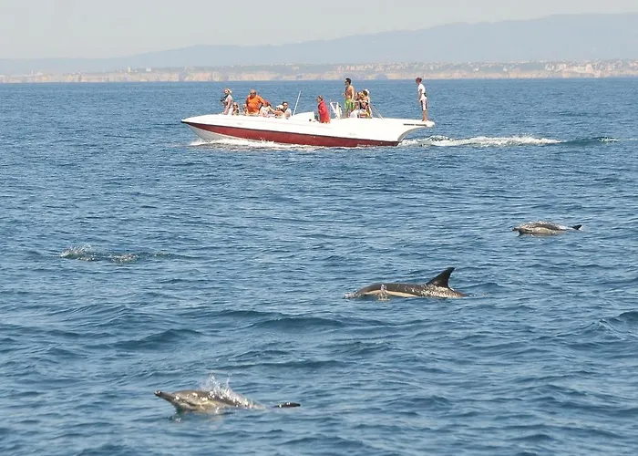 Boutique Marina S. Roque